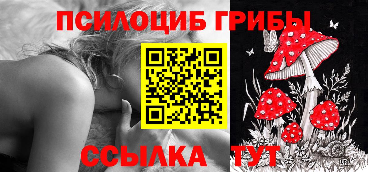 Псилоцибиновые грибы ЛСД  Псилоцибиновые грибы Psilocybe  Вход с VPN  Каменск-Шахтинский 